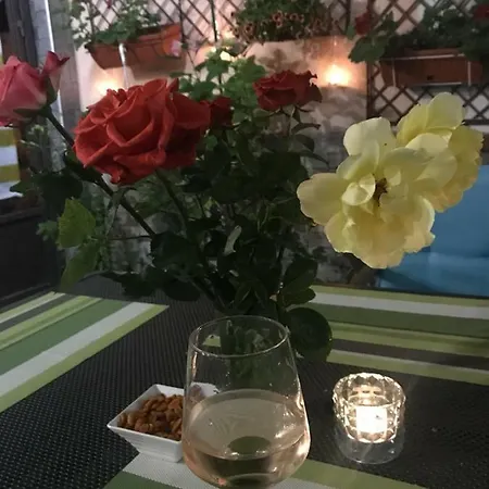 White Rose Guest Hotell 2*