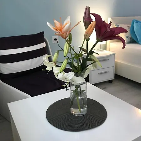 호텔 White Rose Guest 2*