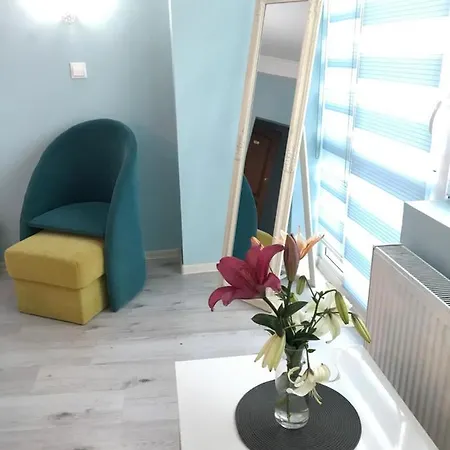 White Rose Guest Hotel 2*