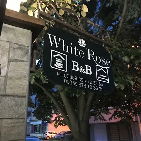 White Rose Guest 호텔 부르가스