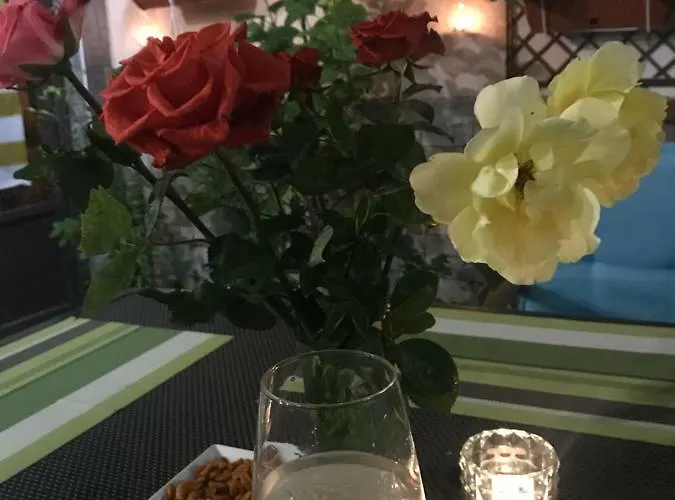 White Rose Guest Hotel 2*